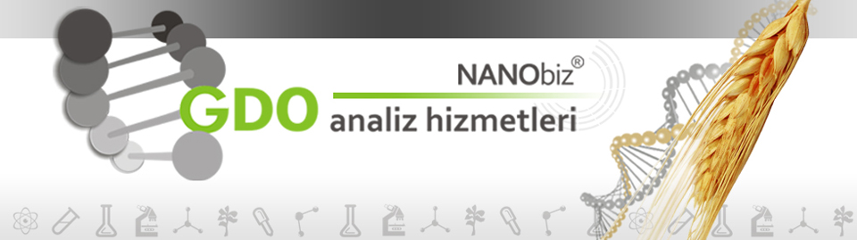 NANObiz GDO Analiz Hizmetleri